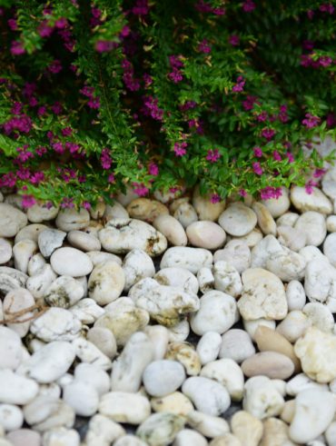 Jardin minéral design pour aménager un espace moderne et zen