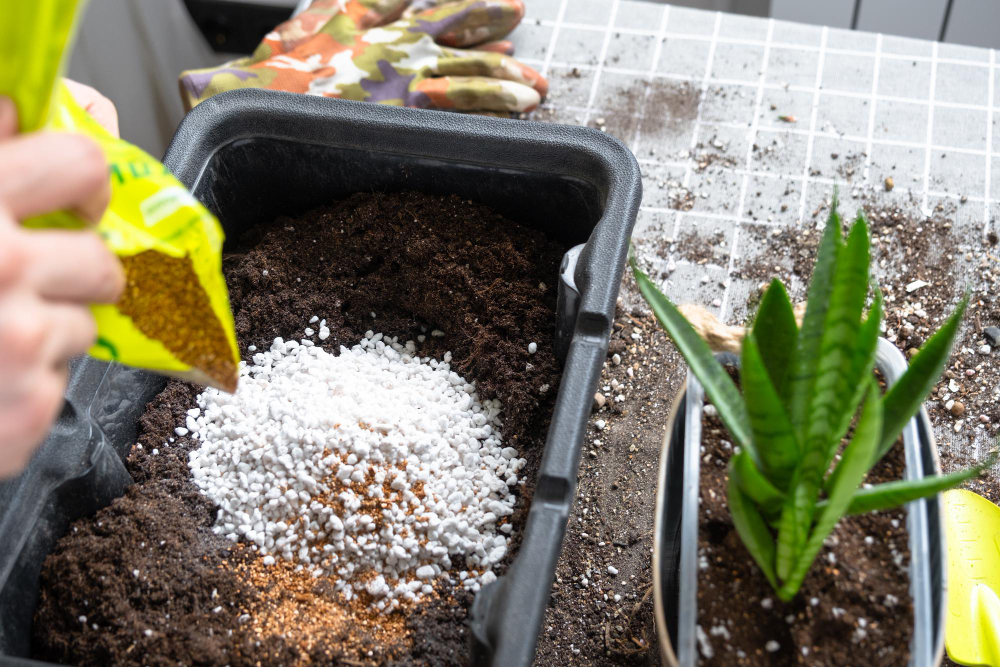 faire un compost maison facilement 
