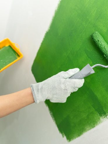 Peinture écologique Biocolor zéro COV intérieur