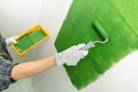Peinture écologique Biocolor zéro COV intérieur